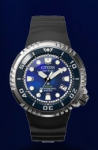 BN1025-08L.jpg